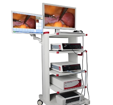 內(nèi)窺鏡視頻圖像處理系統(tǒng)dtx-200瑞沃